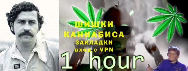 первитин Белокуриха