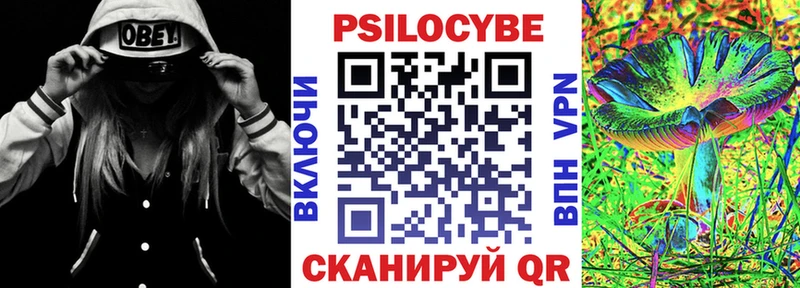 Галлюциногенные грибы Psilocybine cubensis  Кувандык 